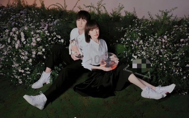 春雨直播app